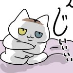 油断も隙もない女