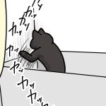 一番楽しそうな瞬間