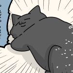 風呂に入れられてる猫を見るのが好きな猫