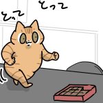 猫のためにやった事なのに