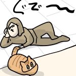 温めブーム