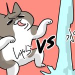 濡れることを恐れぬ猫