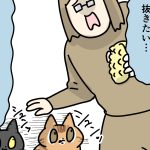 ブラッシング欲