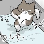 人の話をちゃんと聞こう