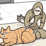 たまに心配になる