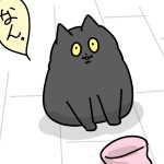 隣の芝は青いってやつ