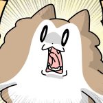 扉の真ん中で止まりがち