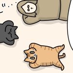 美味しい物カロリー高い問題