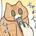 多分わかっててやってる