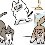 喜ばれるのは違うらしい