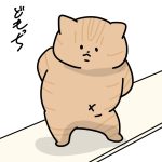 家庭内のらっち