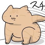 場所を奪う猫達