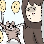 フキハラを覚えた猫