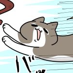 遊びのルーティン