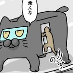 アラサー免許取得奮闘記　②