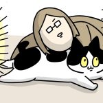 アラサー免許取得奮闘記　①