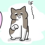 猫にも癖はあるのか