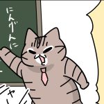 人間にNOを伝える方法